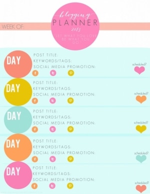 Blog + Social Media Planner Printables from Laura Winslow Photography