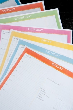 Undated daily planner printable from Back to Her Roots