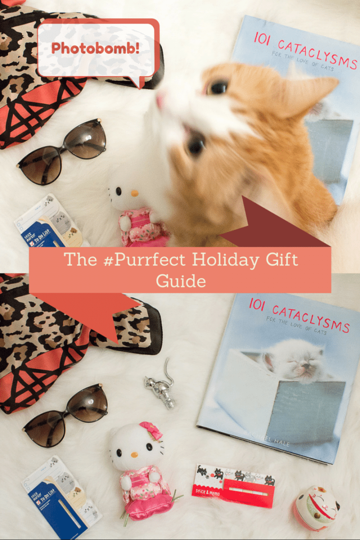 The #Purrfect Holiday Gift Guide