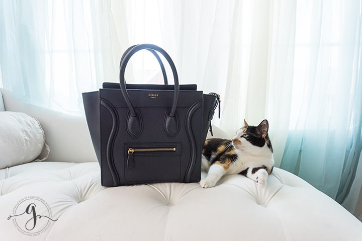 7 Instagram tips I learned from my cat // Geeky Posh