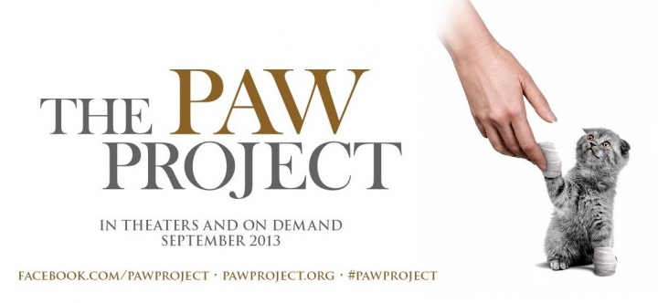 The Paw Project // Geeky Posh