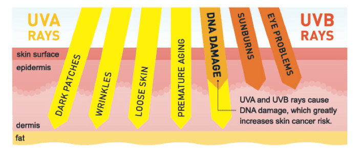 The more you know: UVA vs UVB rays