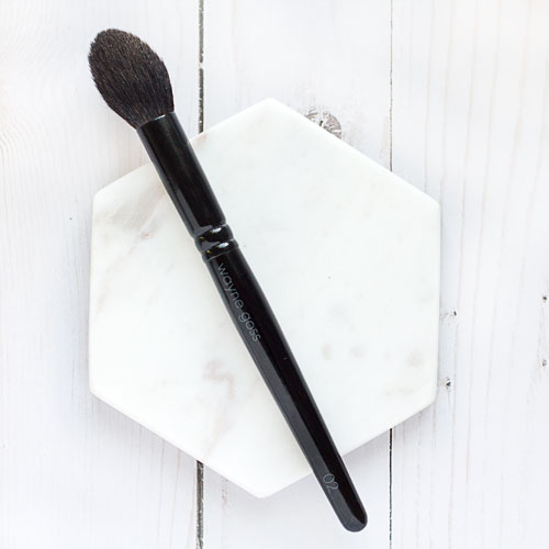 Wayne Goss 02 Brush