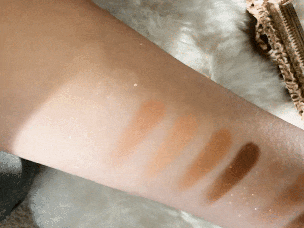 dasique shadow palette sugar brownie swatch