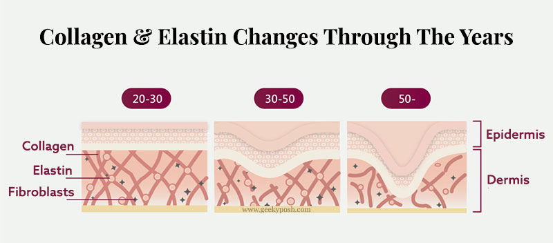 collagen-elastin-changes-in-skin