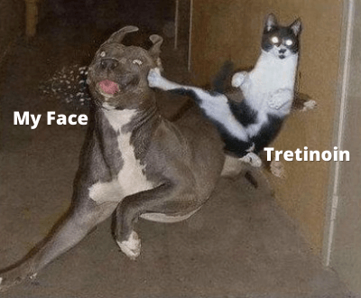 cat kicking dog skincare meme