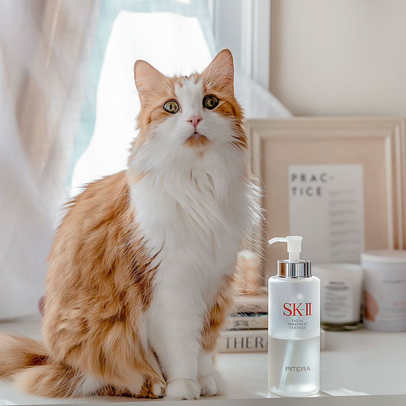 SK-II hydrating Facial Treatment Essence with PITERA™